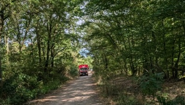 Feuerwehr füllt Wasserstellen im Langenlonsheimer Wald auf