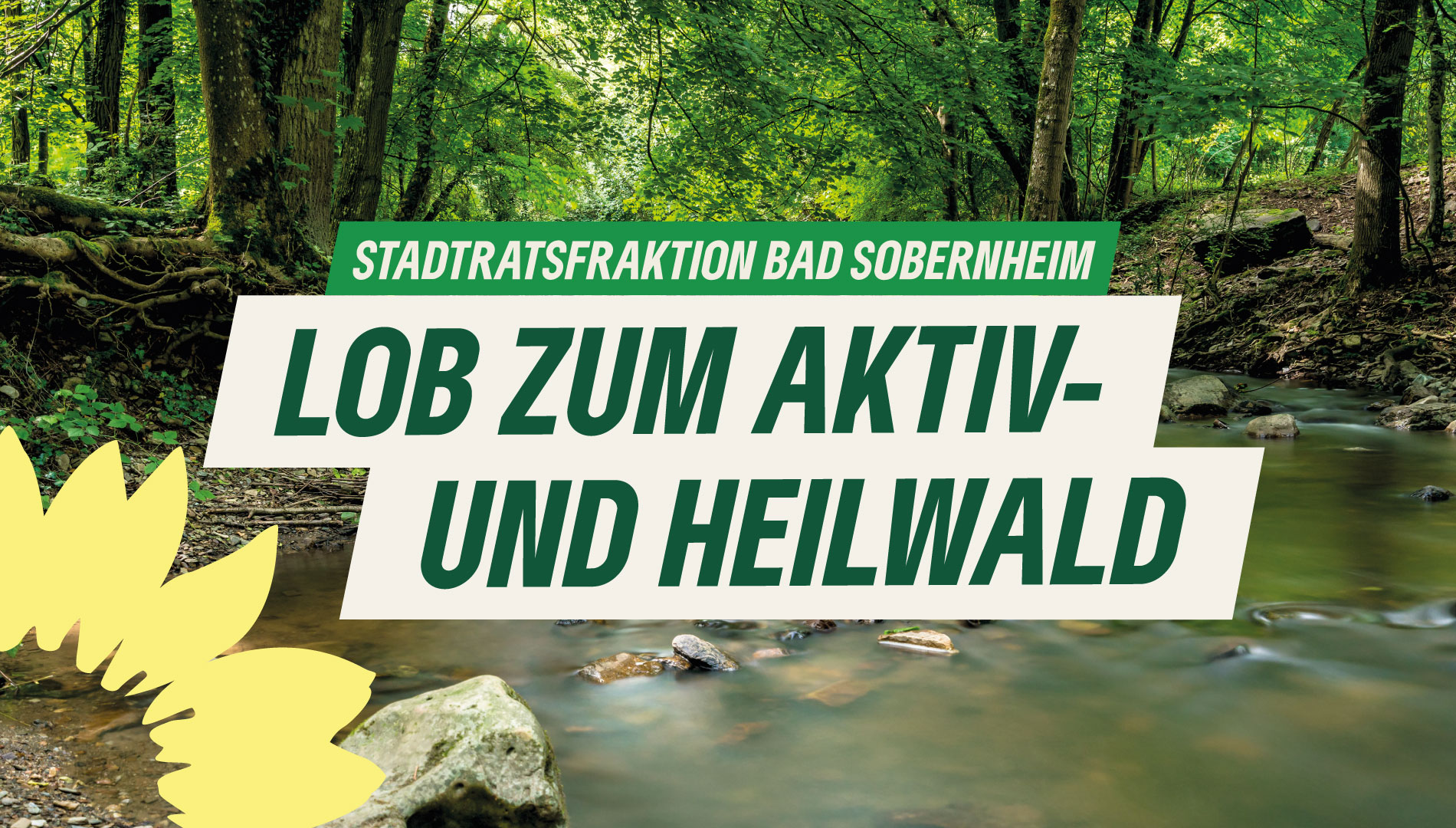 Pressemitteilung: Heil- und Aktivwald: Eröffnung 23.09.2023 - Lob von BÜNDNIS 90/DIE GRÜNEN